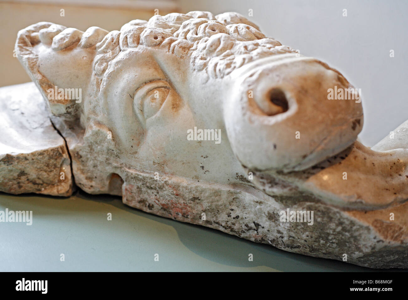 Tête de sanglier, en sculpture romaine, musée des Augustins, Toulouse, France musée Banque D'Images