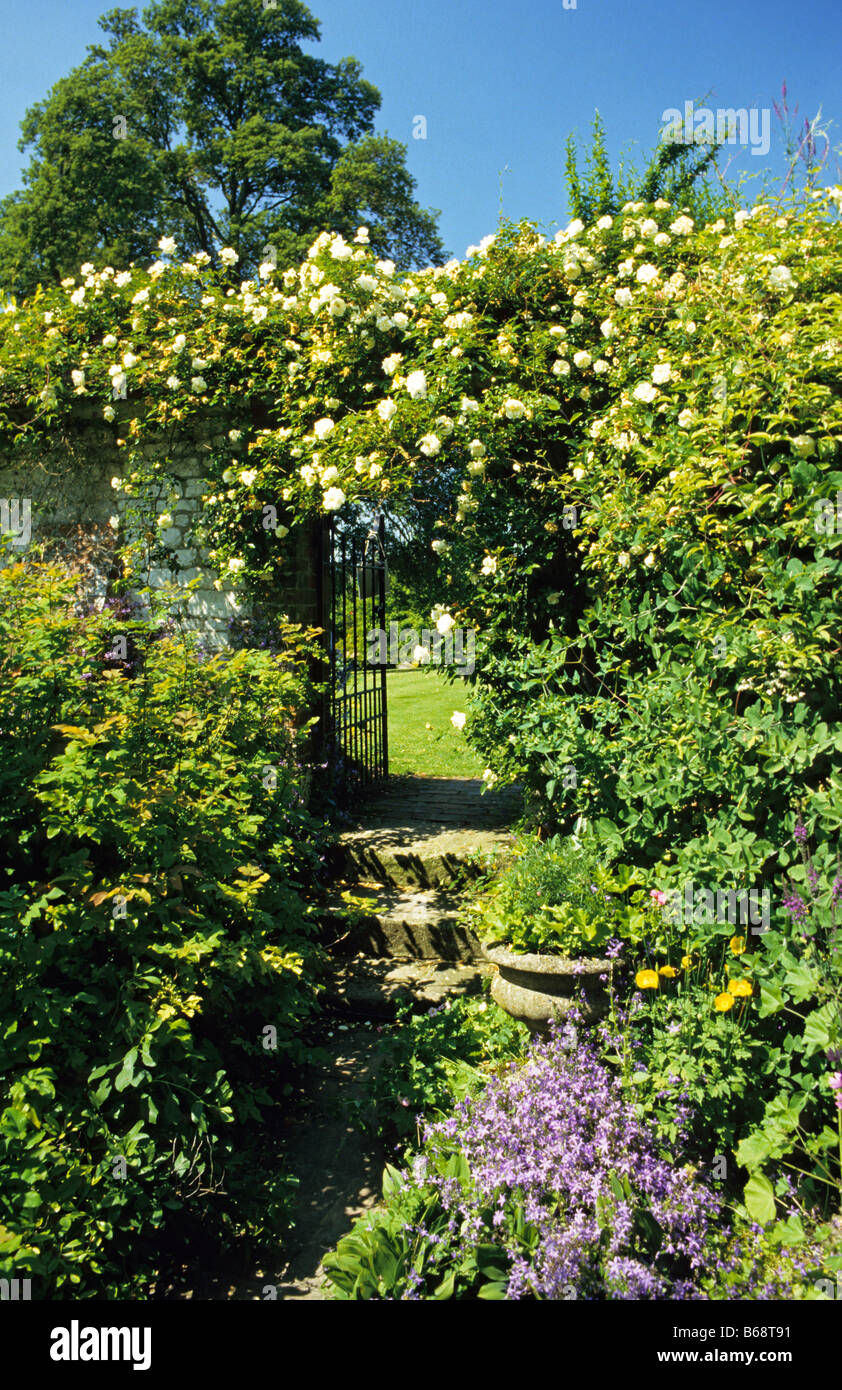 Plus de Roses gateway dans jardin clos privé, Enford, dans Grange, Wiltshire, Royaume-Uni. Banque D'Images