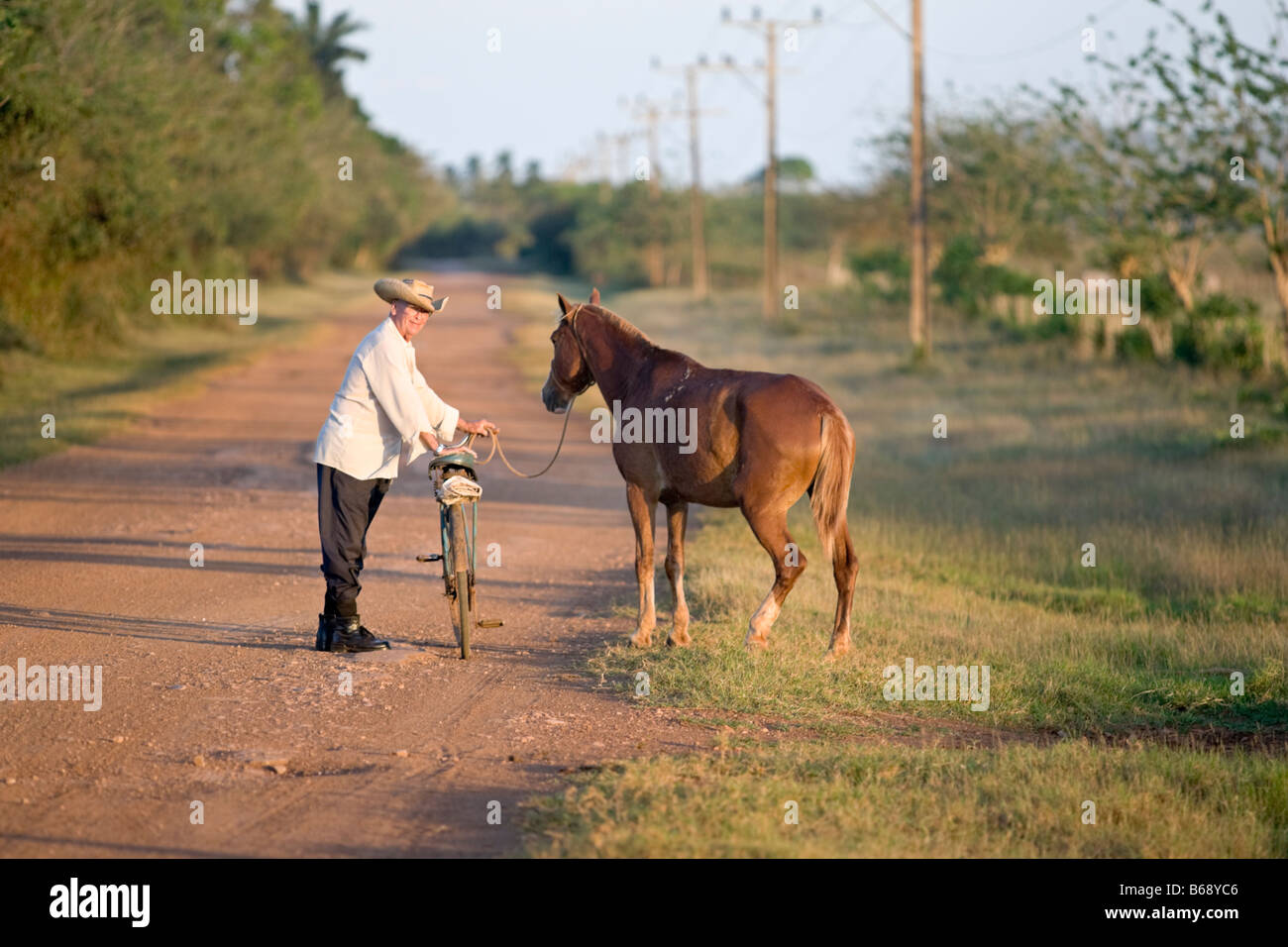 L'homme à Cuba avec un vélo garde un cheval en laisse ( laisse ). Des Caraïbes. Banque D'Images