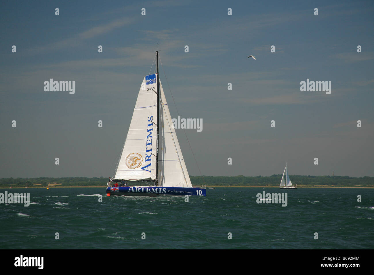 Bateau de course 'Artémis' à la vitesse dans le Solent près de Lymington Hampshire England UK Banque D'Images