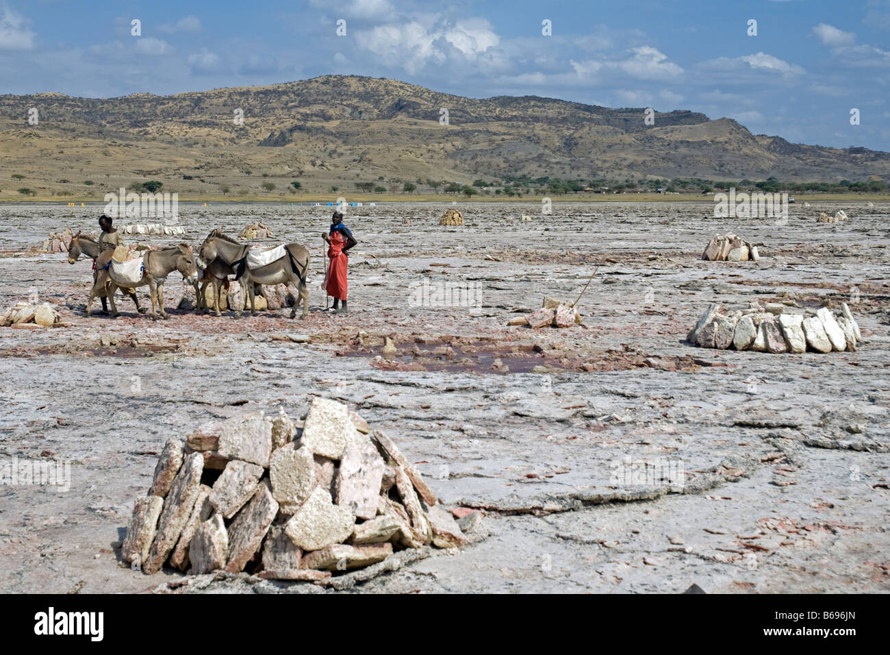 L'extraction de la soude au lac Natron en Tanzanie l'utilisation des ânes pour le transport des Massaïs les plaques de sel à la rive du lac Banque D'Images
