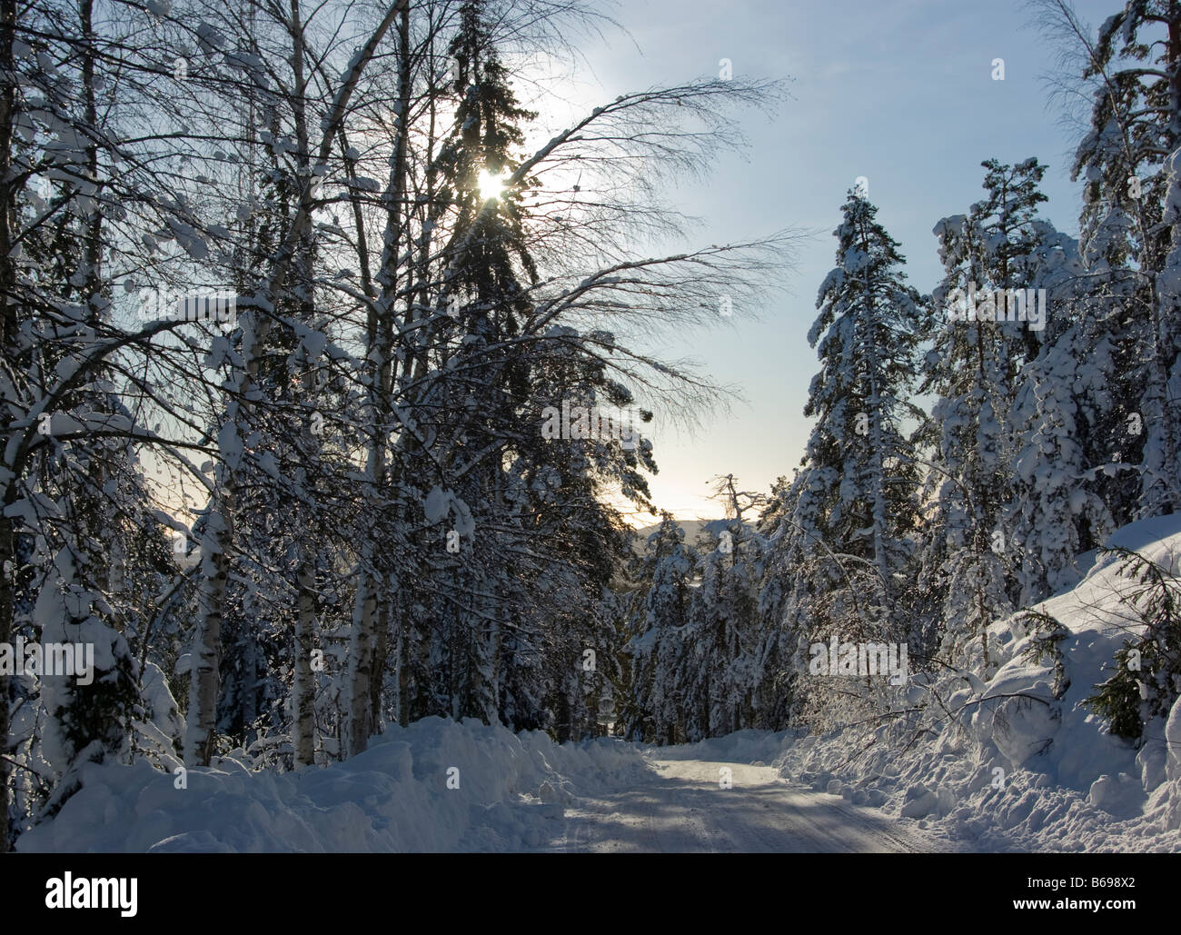Journée d'hiver ensoleillée en Laponie finlandaise Banque D'Images