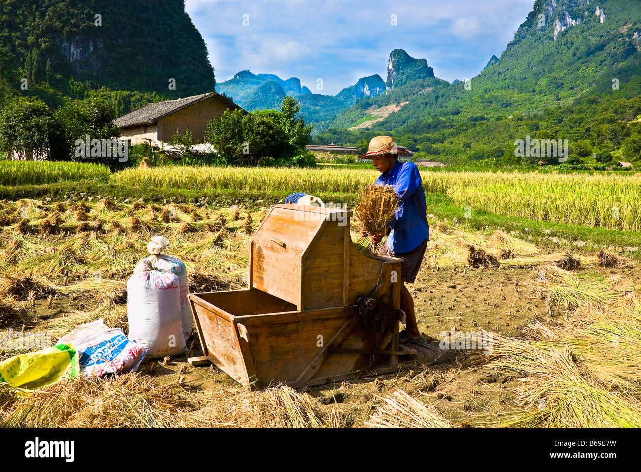 Exploitant agricole travaillant dans une rizière champ, Xingping, Yangshuo, Guangxi Province, China Banque D'Images