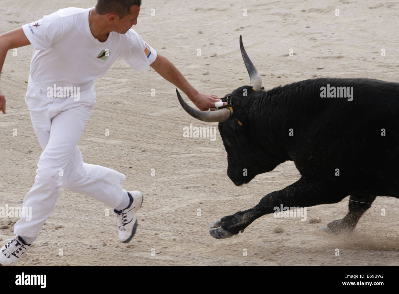 Bien sûr corrida Camarguaise St Marie de la Mer Camargue France Banque D'Images