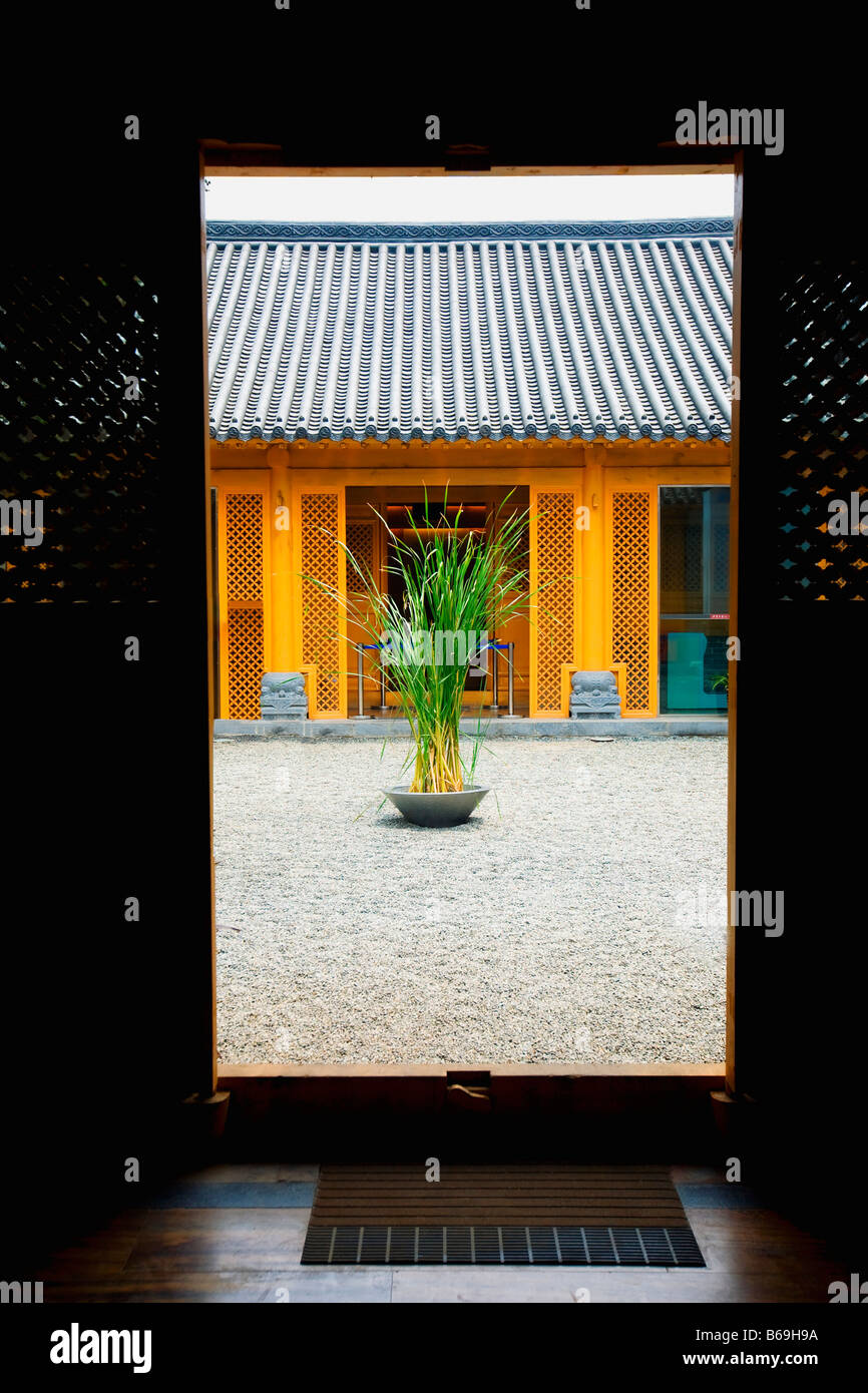 Plante en pot dans une cour vue à travers une porte, Monastère de Shaolin, dans la province du Henan, Chine Banque D'Images