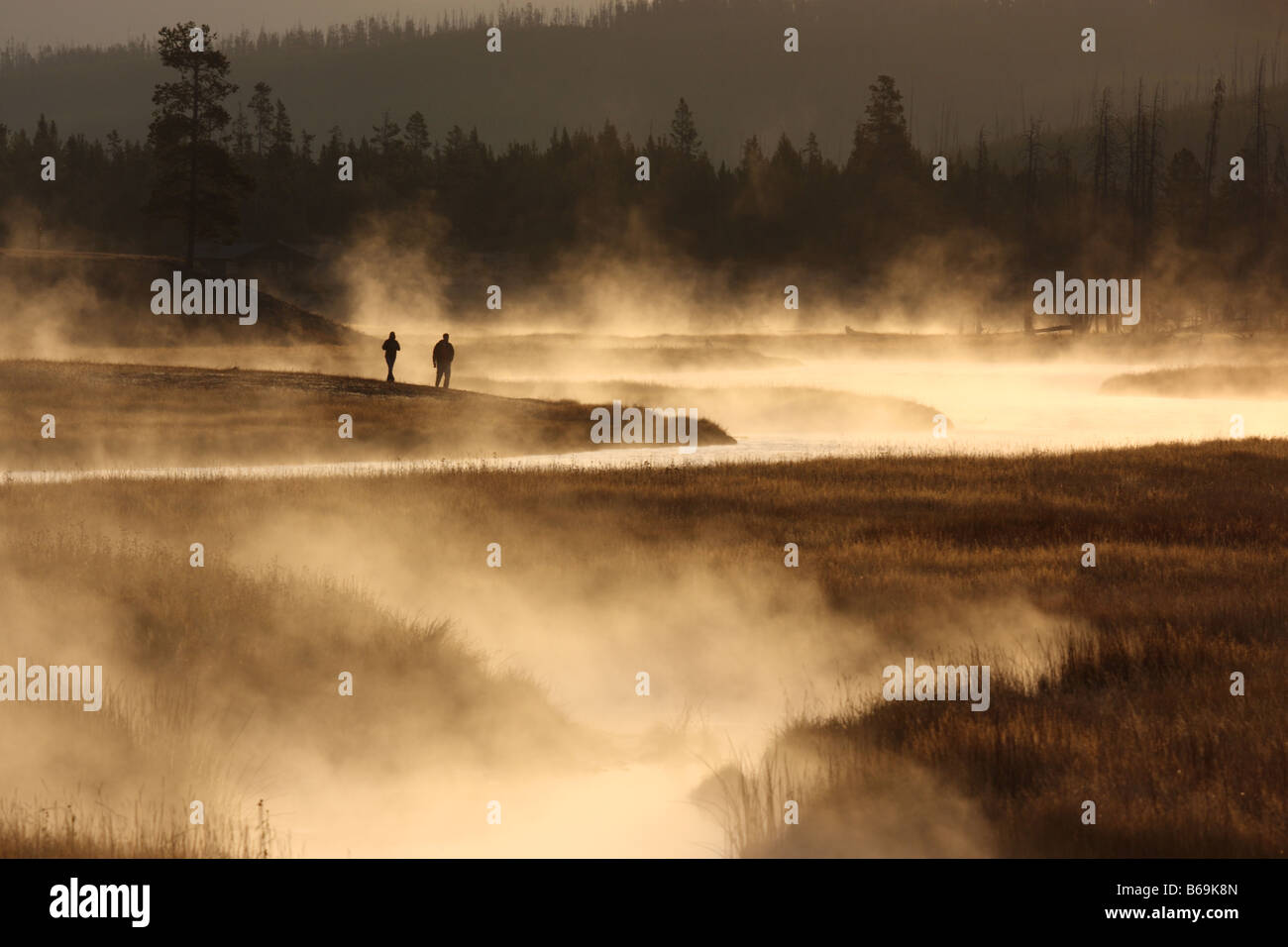 Misty morning, Madison River Valley, le Parc National de Yellowstone, Wyoming Banque D'Images