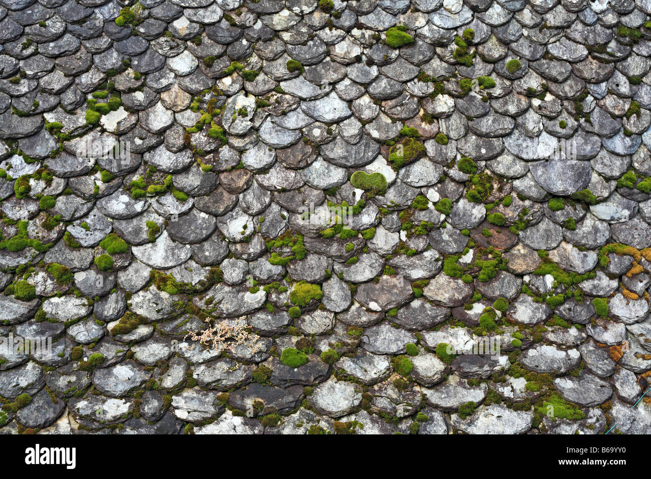 L'architecture de la ville, maison traditionnelle avec toit en ardoise, Conques, France Banque D'Images