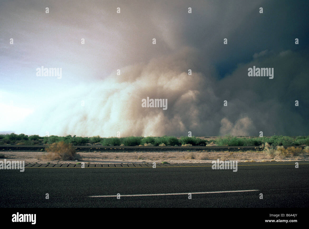 Tempête de poussière s'éclate en Arizona désert près de Yuma. Banque D'Images
