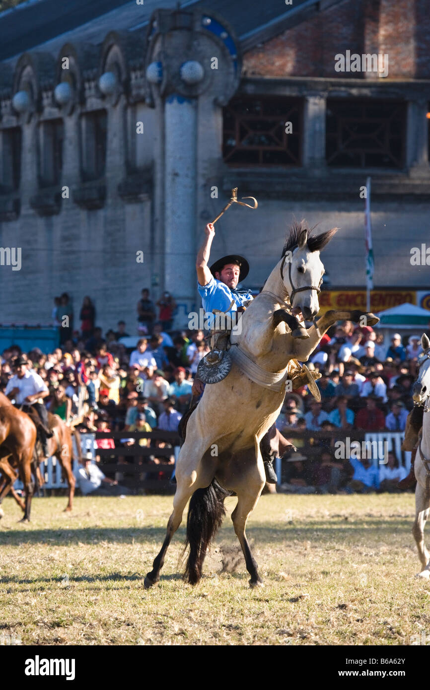 Cheval rodéo Uruguay fiesta gaucho cow-boy cowboy Banque D'Images