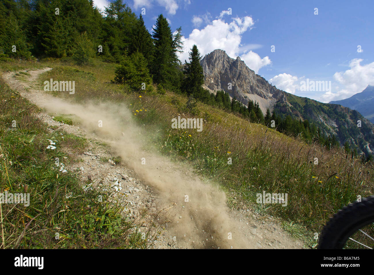 La poussière d'une roue de vélo sur une piste Banque D'Images