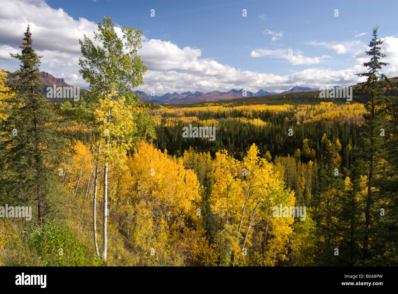 Avis de Riley Creek Valley, le Parc National Denali et préserver, de l'Alaska Banque D'Images