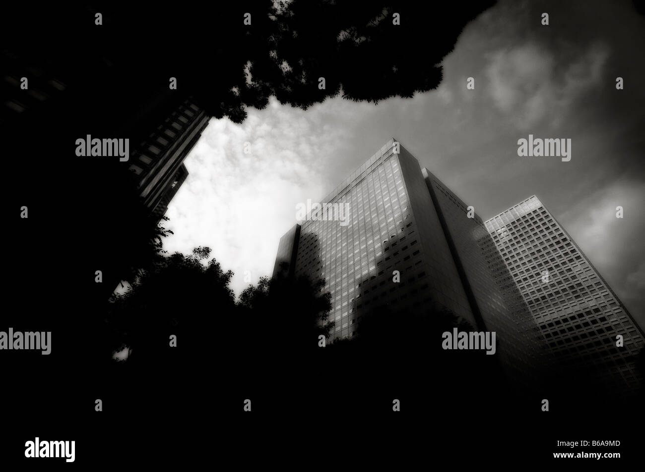 Complexe de l'Hôtel de ville de Tokyo (à gauche) et le Shinjuku NS Building (à droite). Gratte-ciel de Shinjuku District. Shinjuku. Tokyo. Le Japon Banque D'Images