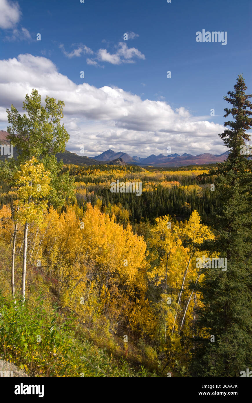 Avis de Riley Creek Valley, le Parc National Denali et préserver, de l'Alaska Banque D'Images