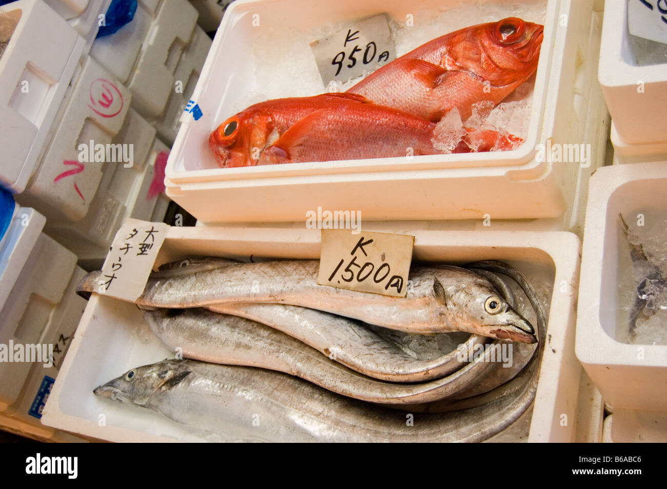 Marché aux poissons de Tsukiji shijo Tokyo Japon fruits de mer Banque D'Images