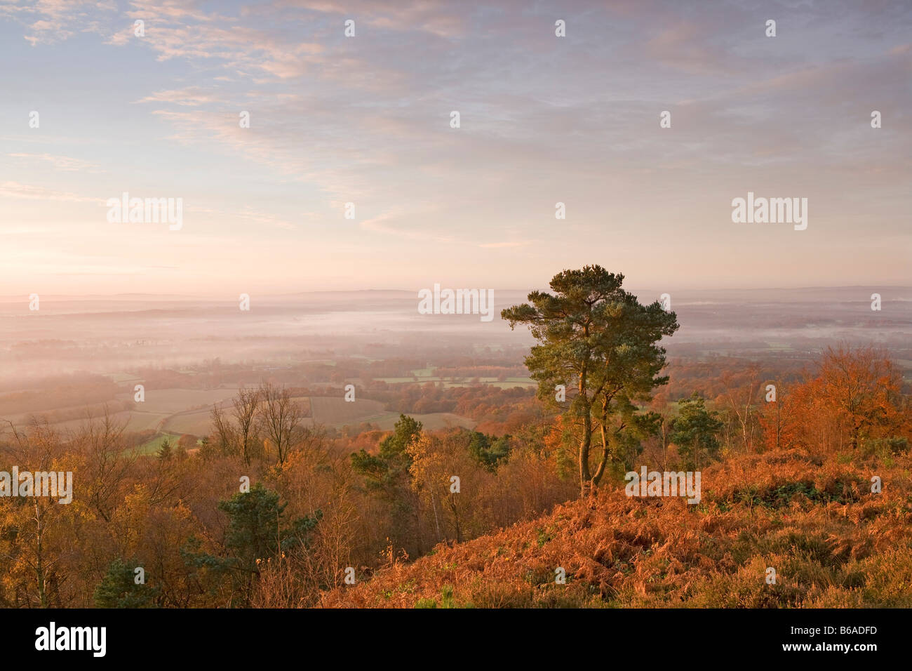 Tôt le matin de Leith Hill [View] [North Downs] [Surrey Hills] automne Banque D'Images