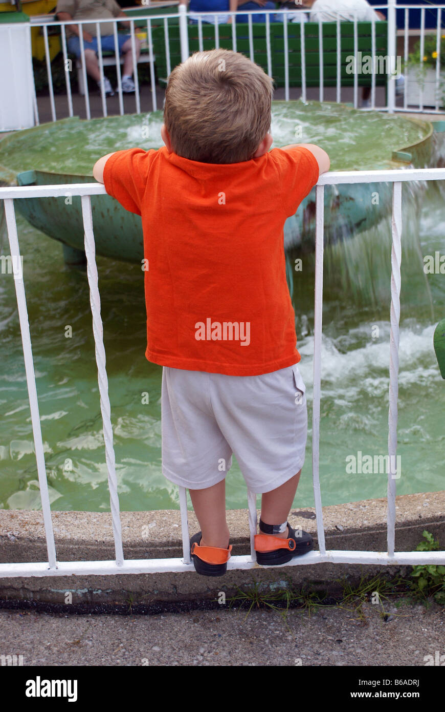 Fascination Banque D'Images