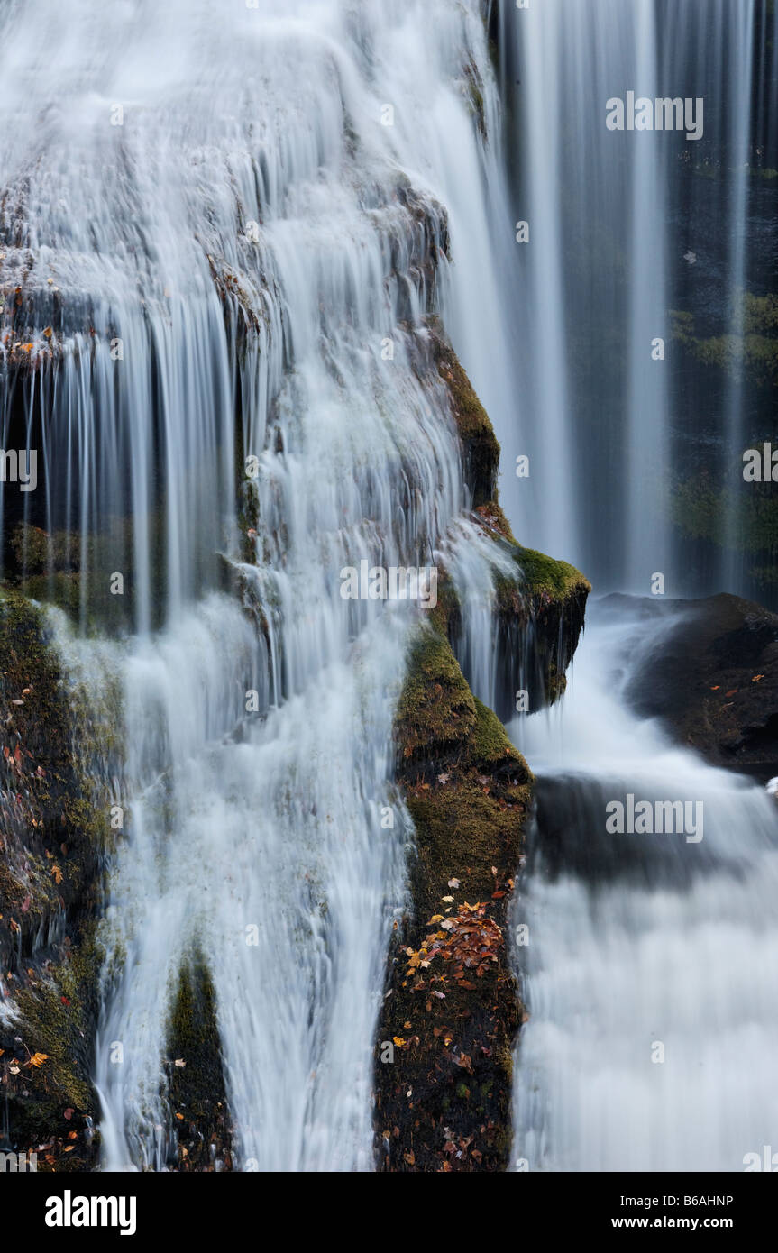 Détail de River Falls Chauve Bald River Gorge Wilderness dans Cherokee National Forest Florida Banque D'Images