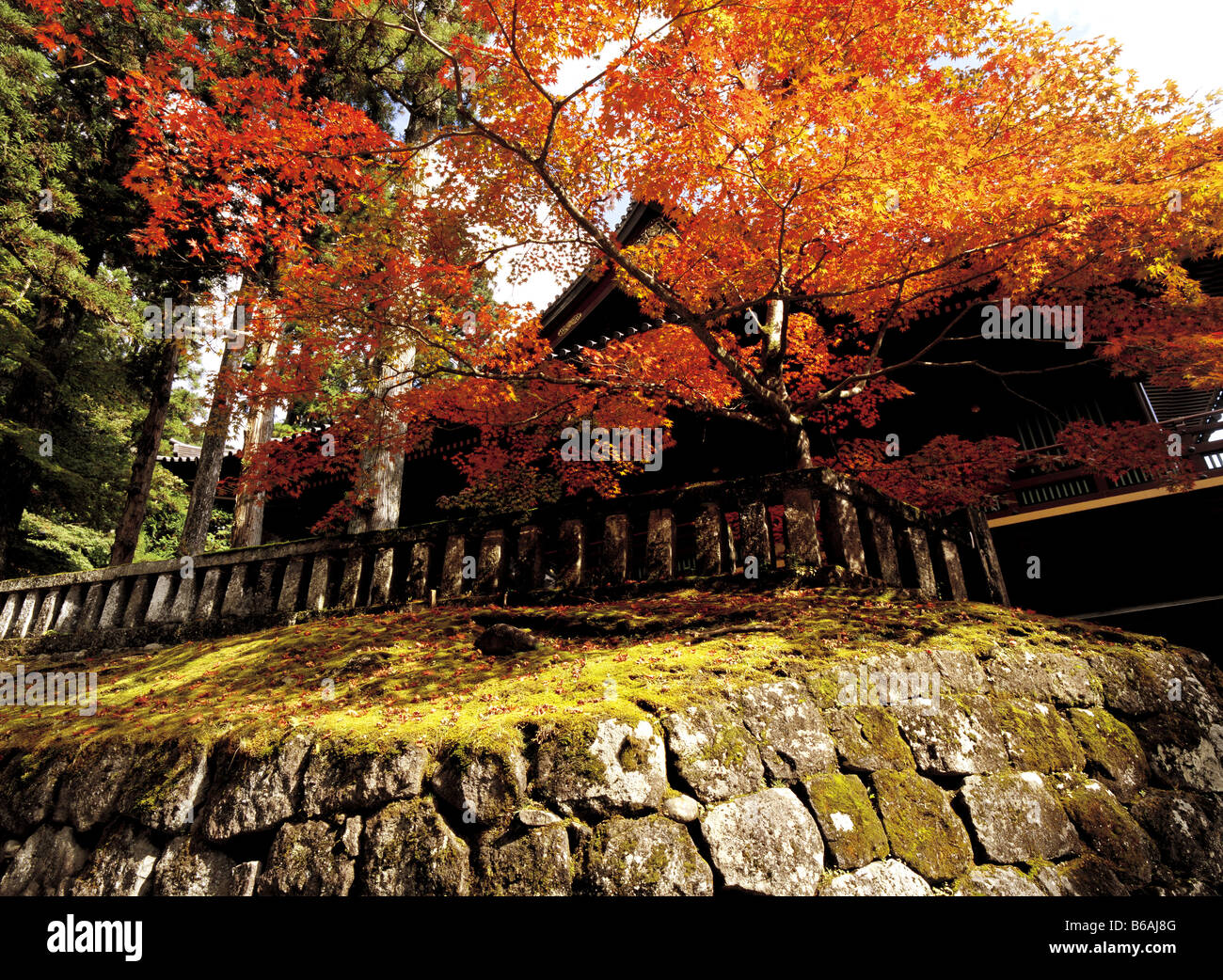 Le toit du temple encadrée de feuilles d'érable de l'automne à Nikko, Japon Banque D'Images