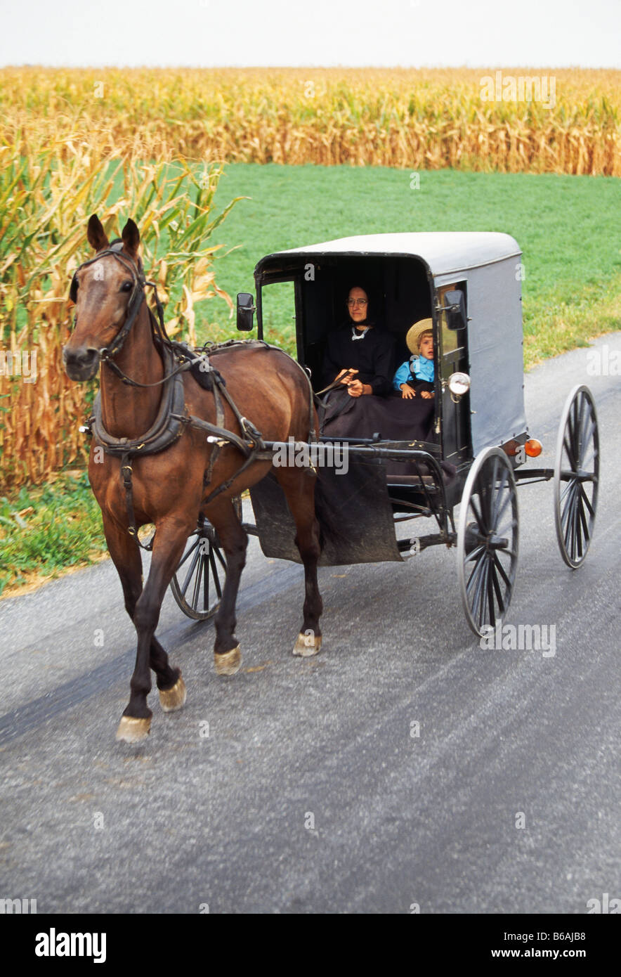 Cheval Amish buggy sur une route rurale, comté de Lancaster, Pennsylvanie,  USA Photo Stock - Alamy