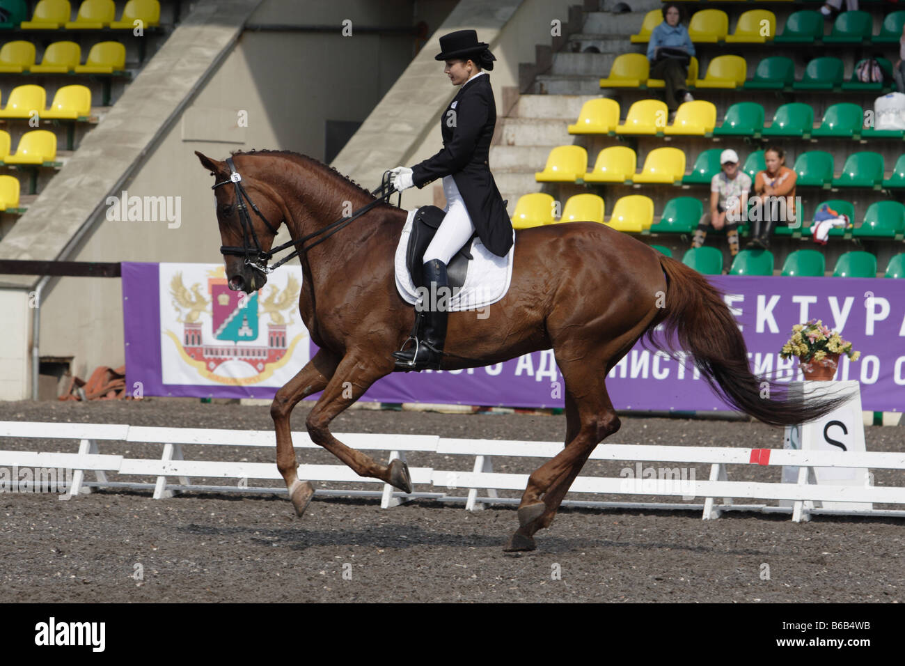 Le sport équestre. Dressage Banque D'Images