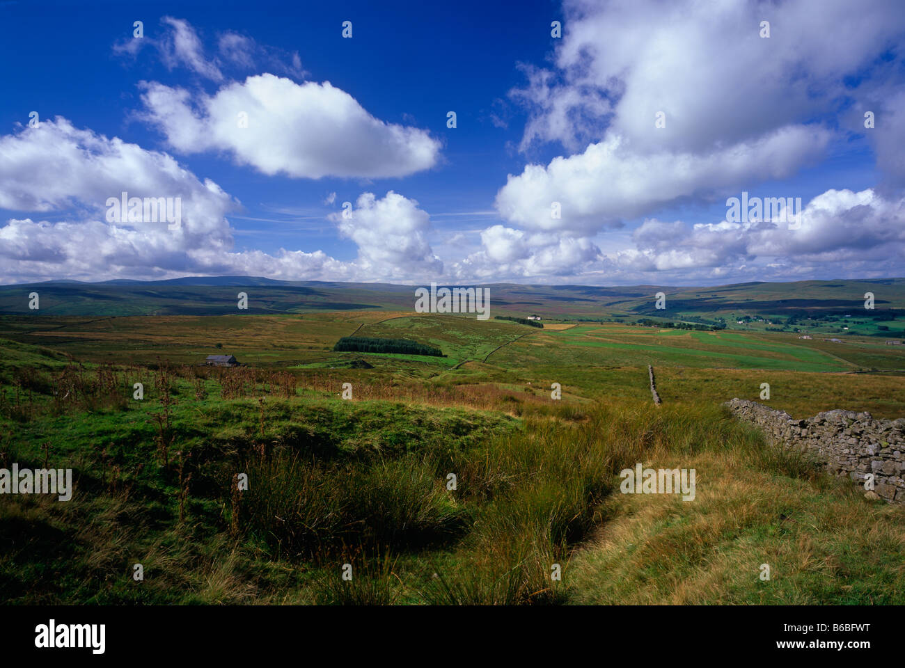 Alston Moor près de Alston, North Pennines, Northumberland Banque D'Images