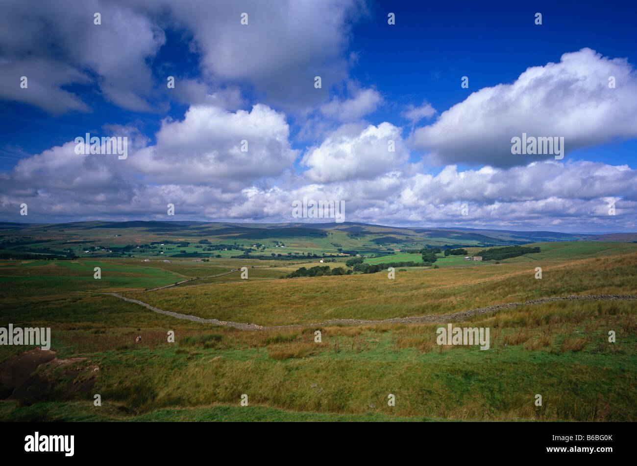 Alston Moor près de Alston, North Pennines, Northumberland Banque D'Images