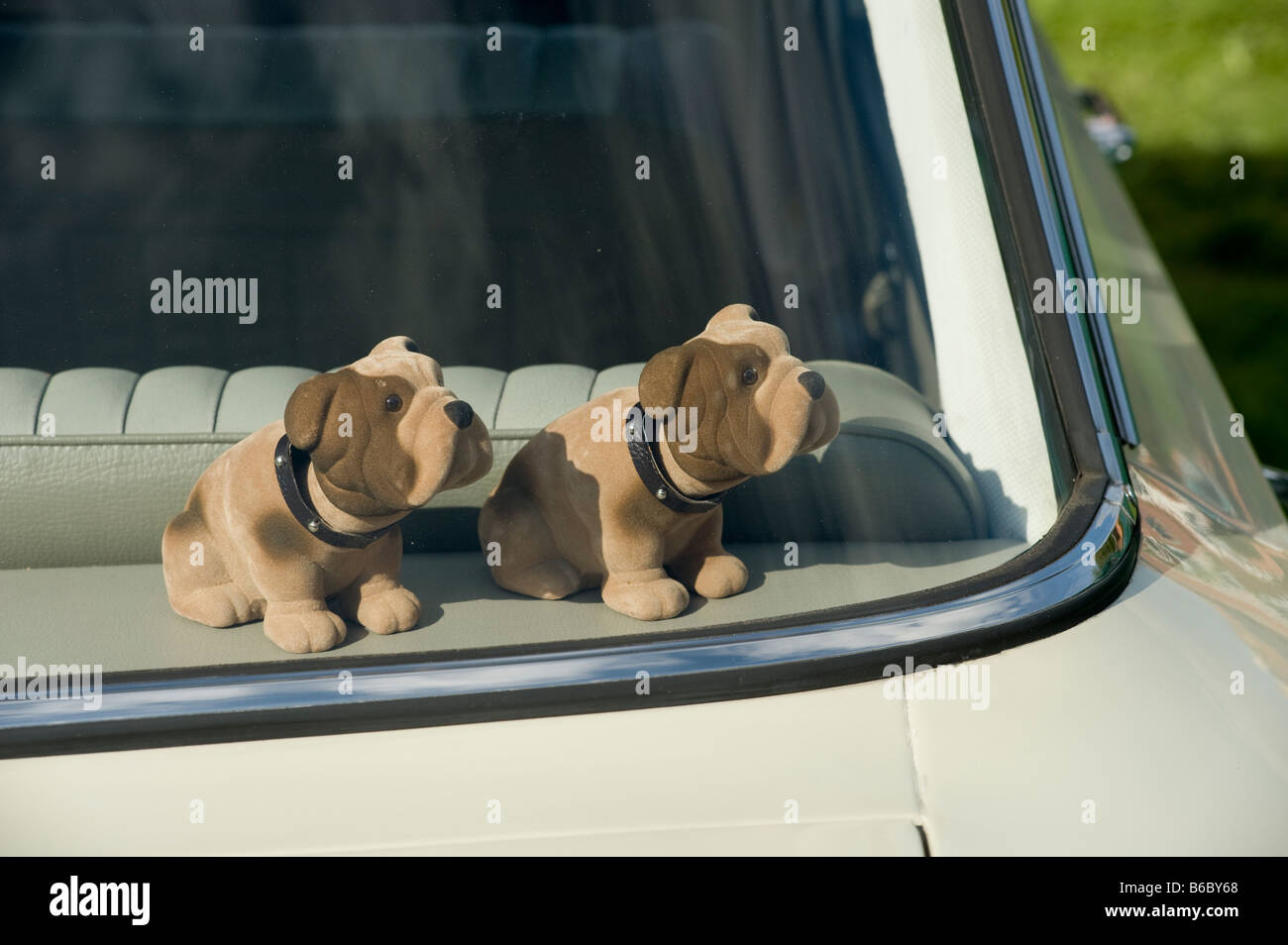 Hoche les chiens sur la plage arrière d'une voiture Photo Stock - Alamy