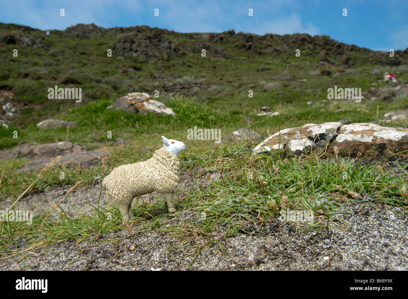 Un jouet Mouton debout sur une colline Banque D'Images