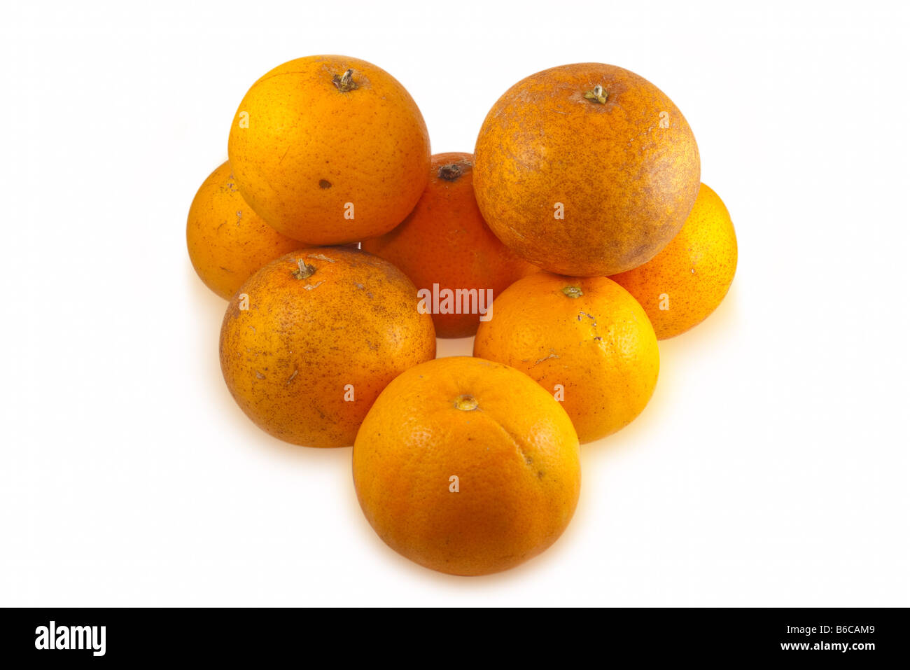 Tas d'oranges de frais réels avec d'arbres et les défauts fait peur normale isolé sur fond blanc avec des chemins de détourage Banque D'Images