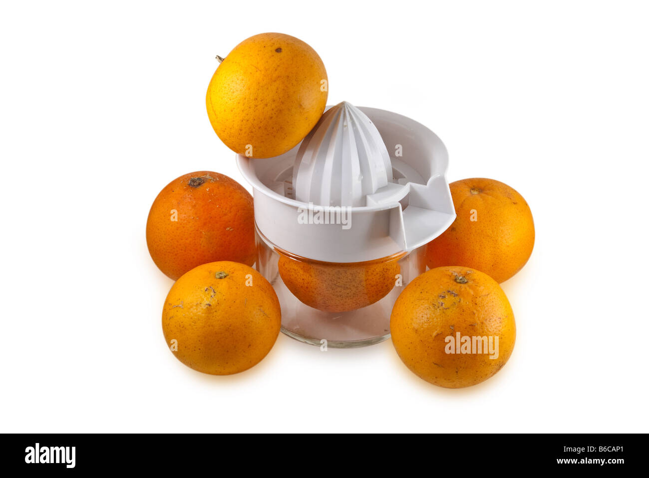 Des oranges de Floride avec centrifugeuse à main Banque D'Images