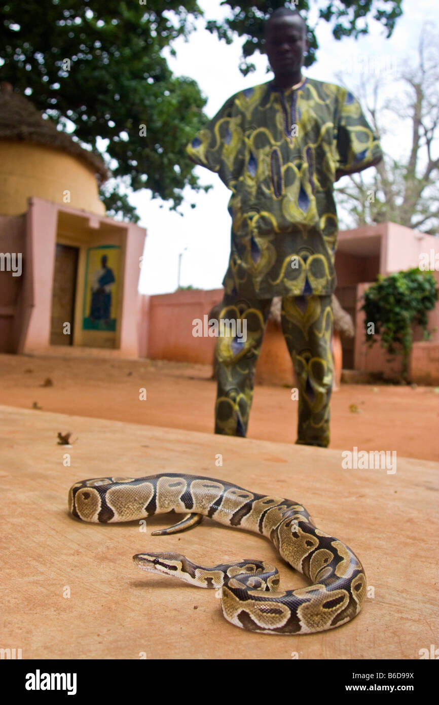 Prêtre vaudou dans Snake Temple à Ouidah, Bénin, Afrique de l'Ouest Banque D'Images