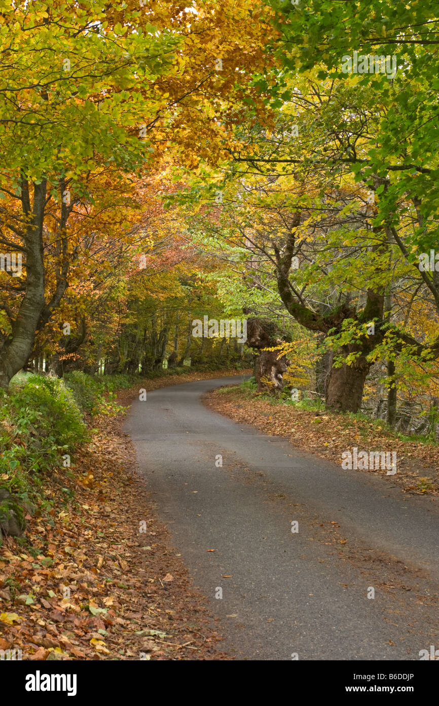 Glen Lyon, Ecosse Banque D'Images