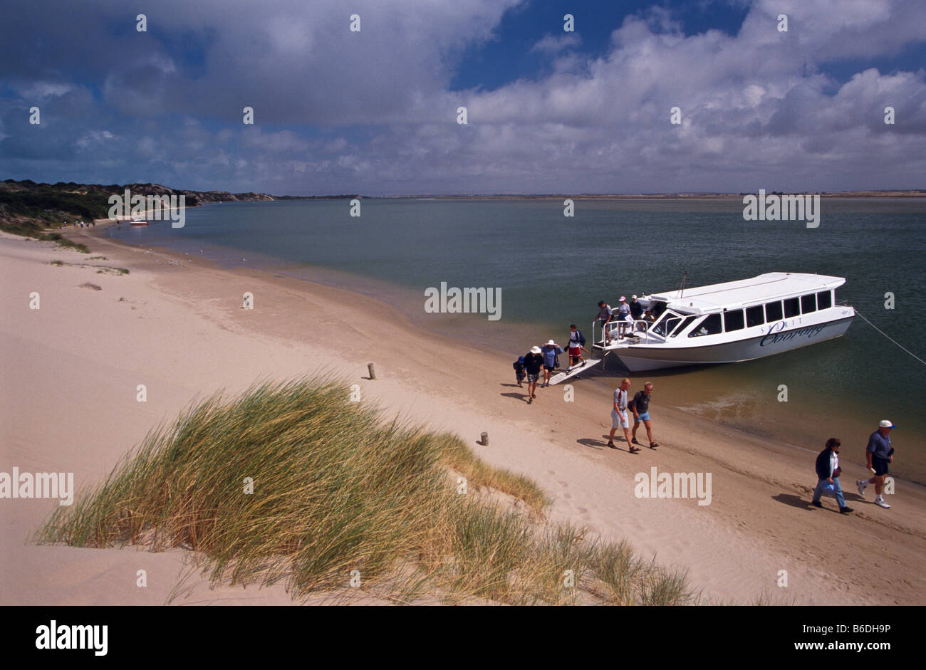 Croisière touristique, Coorong, Australie du Sud. Banque D'Images
