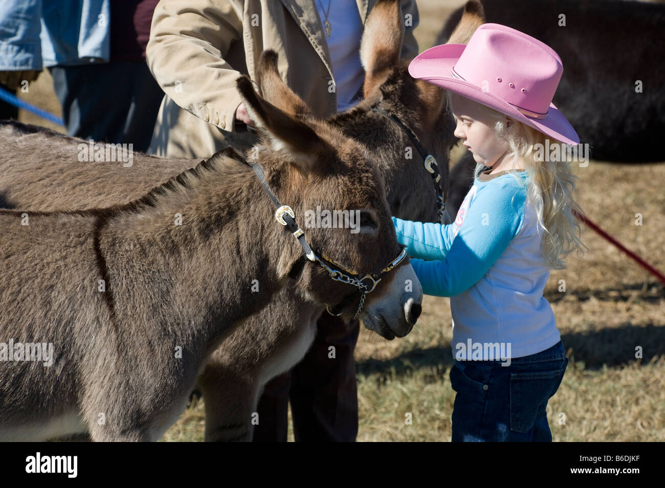 Jeune fille avec miniature donkey foal Banque D'Images