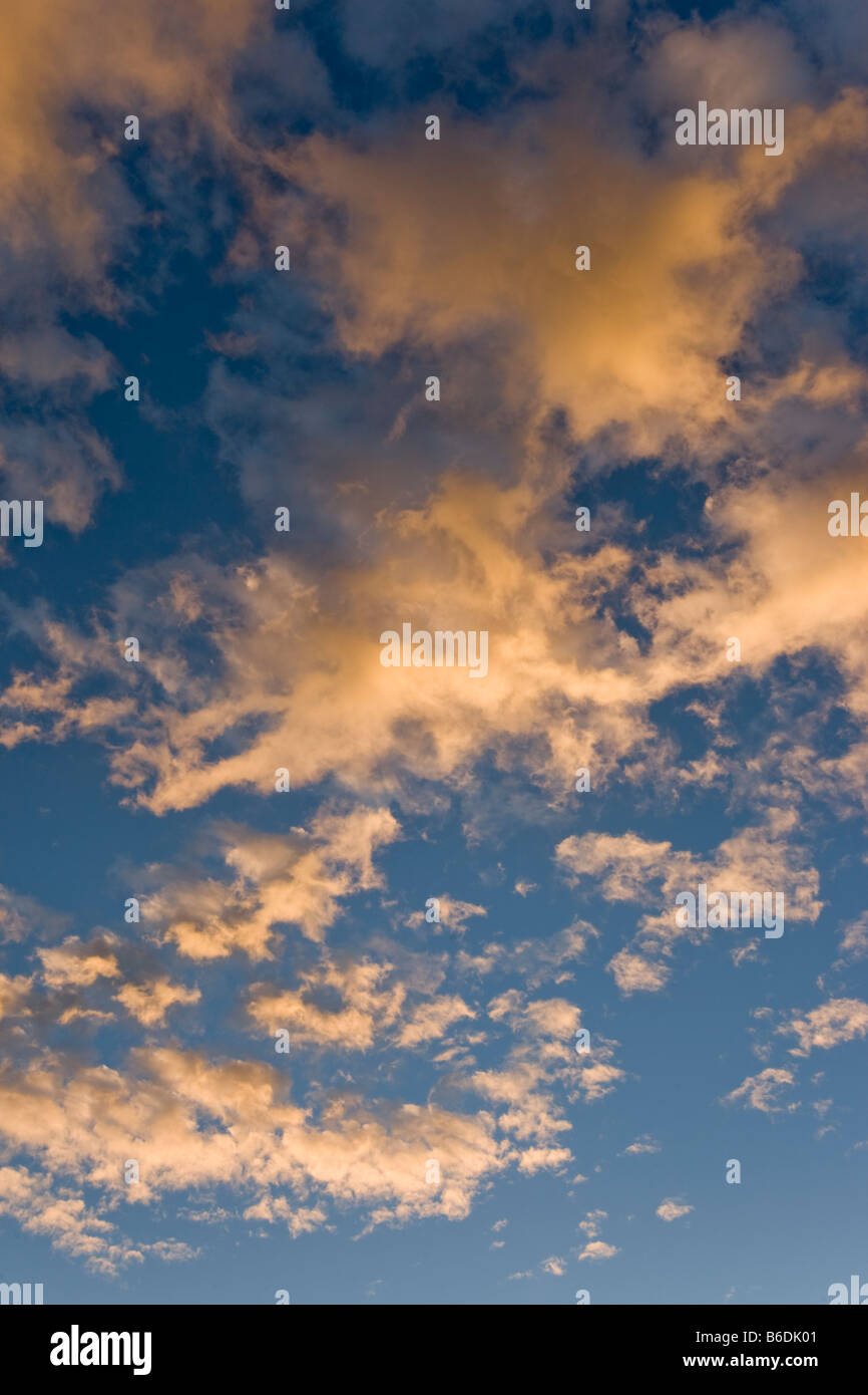 Afrique du Sud Parc transfrontalier de Kgalagadi matin soleil nuages au-dessus du désert du Kalahari, au lever du soleil Banque D'Images