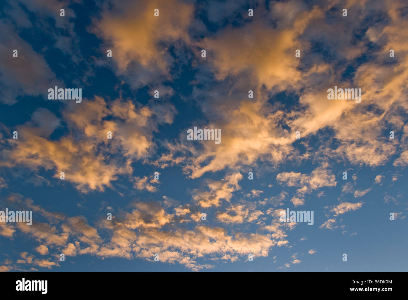 Afrique du Sud Parc transfrontalier de Kgalagadi matin soleil nuages au-dessus du désert du Kalahari, au lever du soleil Banque D'Images