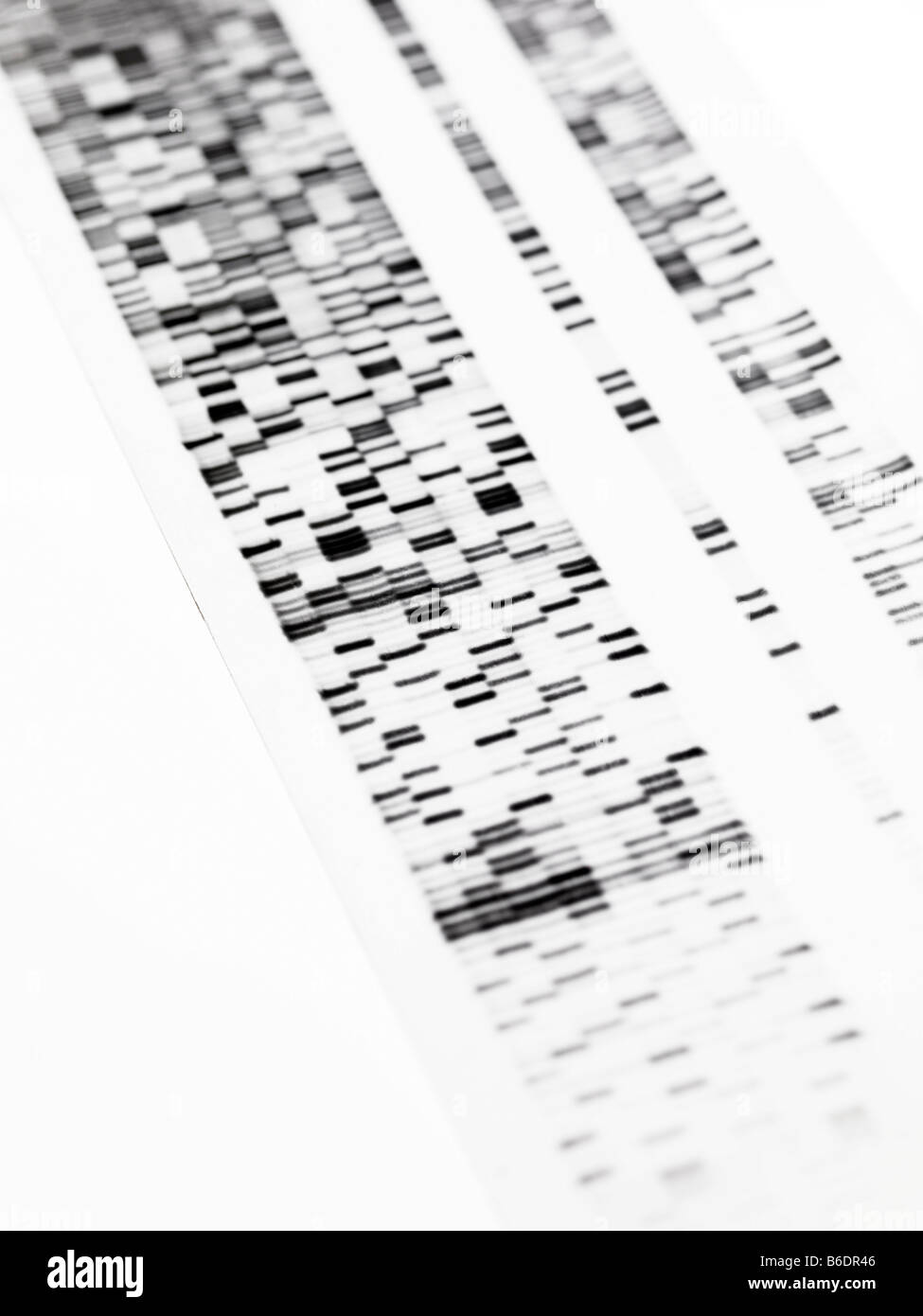 DNA autoradiogram Banque D'Images