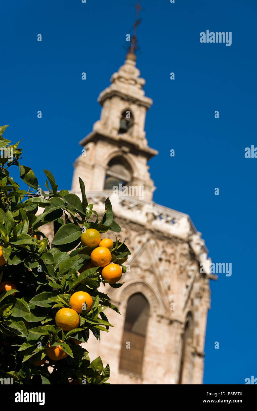 Les oranges en face de la cathédrale Miguelete Bell Tower sur la place de la Reine dans le centre-ville historique de Valence Espagne Banque D'Images