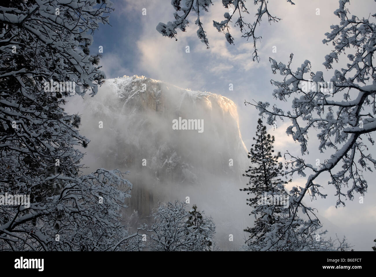 Californie - Lever du Soleil sur le Capitan après une tempête hivernale dans la vallée de Yosemite, Yosemite National Park. Banque D'Images