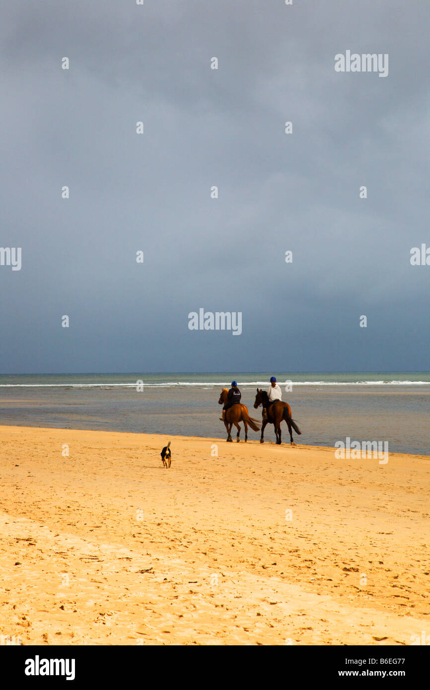 Deux coureurs et un chien sur la plage de Blackpool Lancashire England Banque D'Images