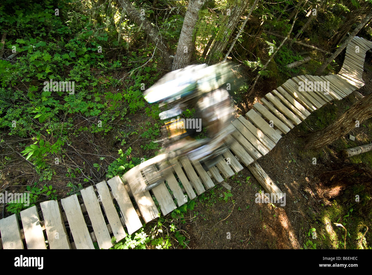 Du vélo de montagne sur bois avec motion blur Banque D'Images