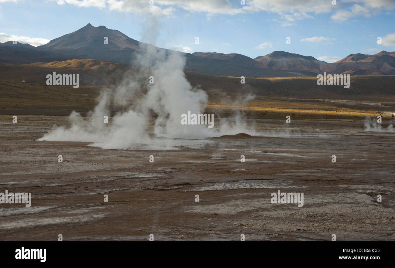 El Tatio geysers, Désert d'Atacama, Chili Banque D'Images