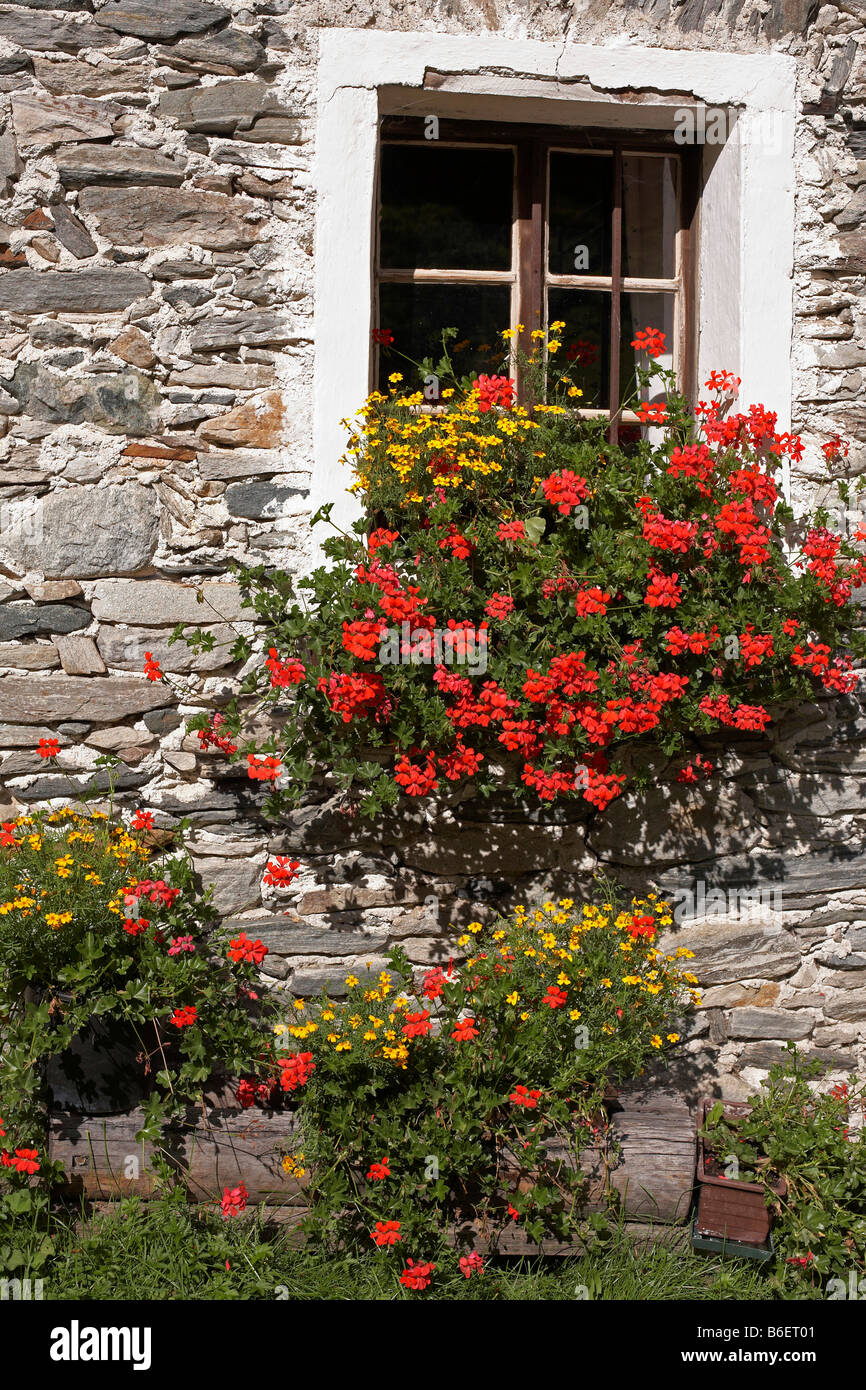 Fenêtre de fleurs, Kochloeffelhuette, hutte, Carinthie, Autriche, Europe Banque D'Images