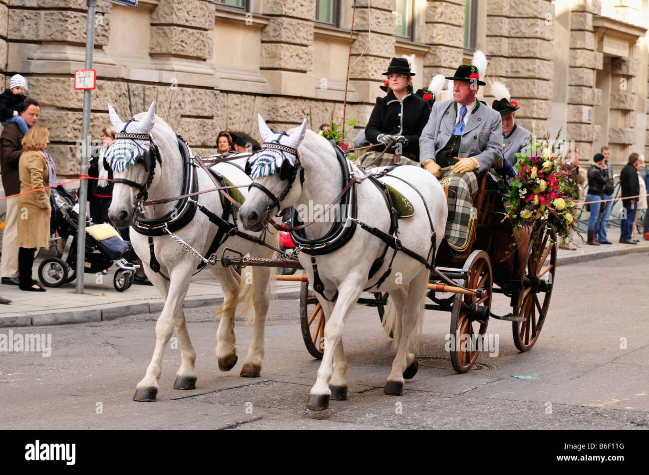 Chevaux tirant un chariot lors de la traditionnelle parade de costumes à l'Oktoberfest, Munich, Bavaria, Germany, Europe Banque D'Images