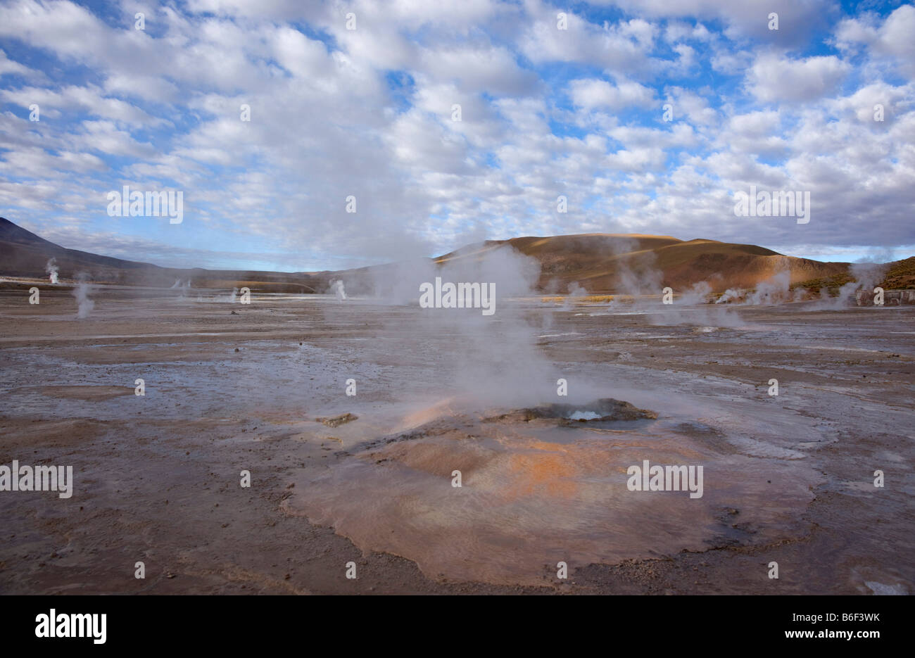 El Tatio geysers, Désert d'Atacama, Chili Banque D'Images