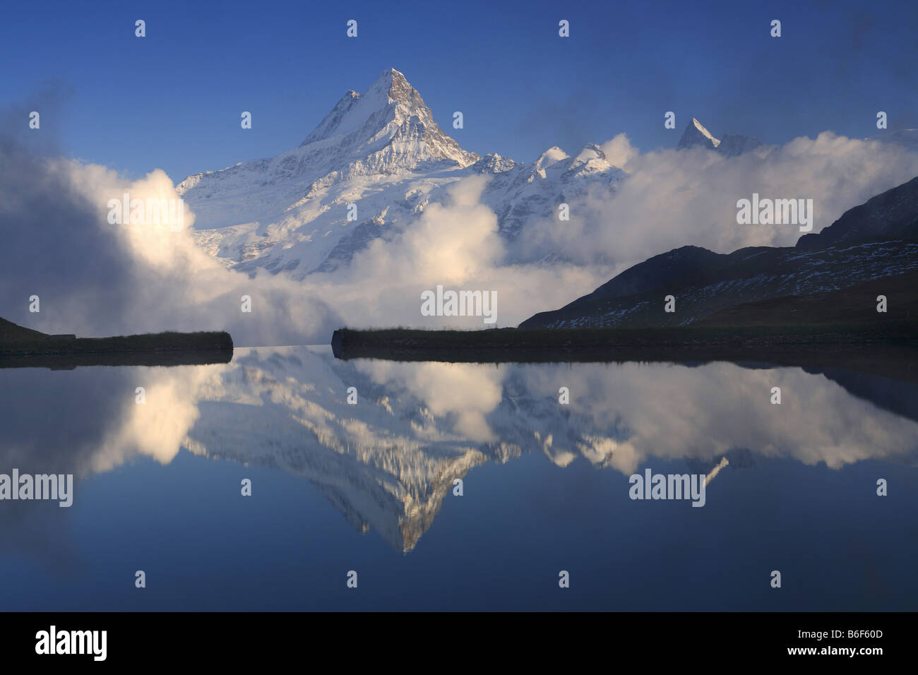 Schreckhorn, 4078 m et 4274m, Finsteraarhorn, réflexion sur l'Bachalp , Suisse, Oberland Bernois, Grindelwald, Première Banque D'Images