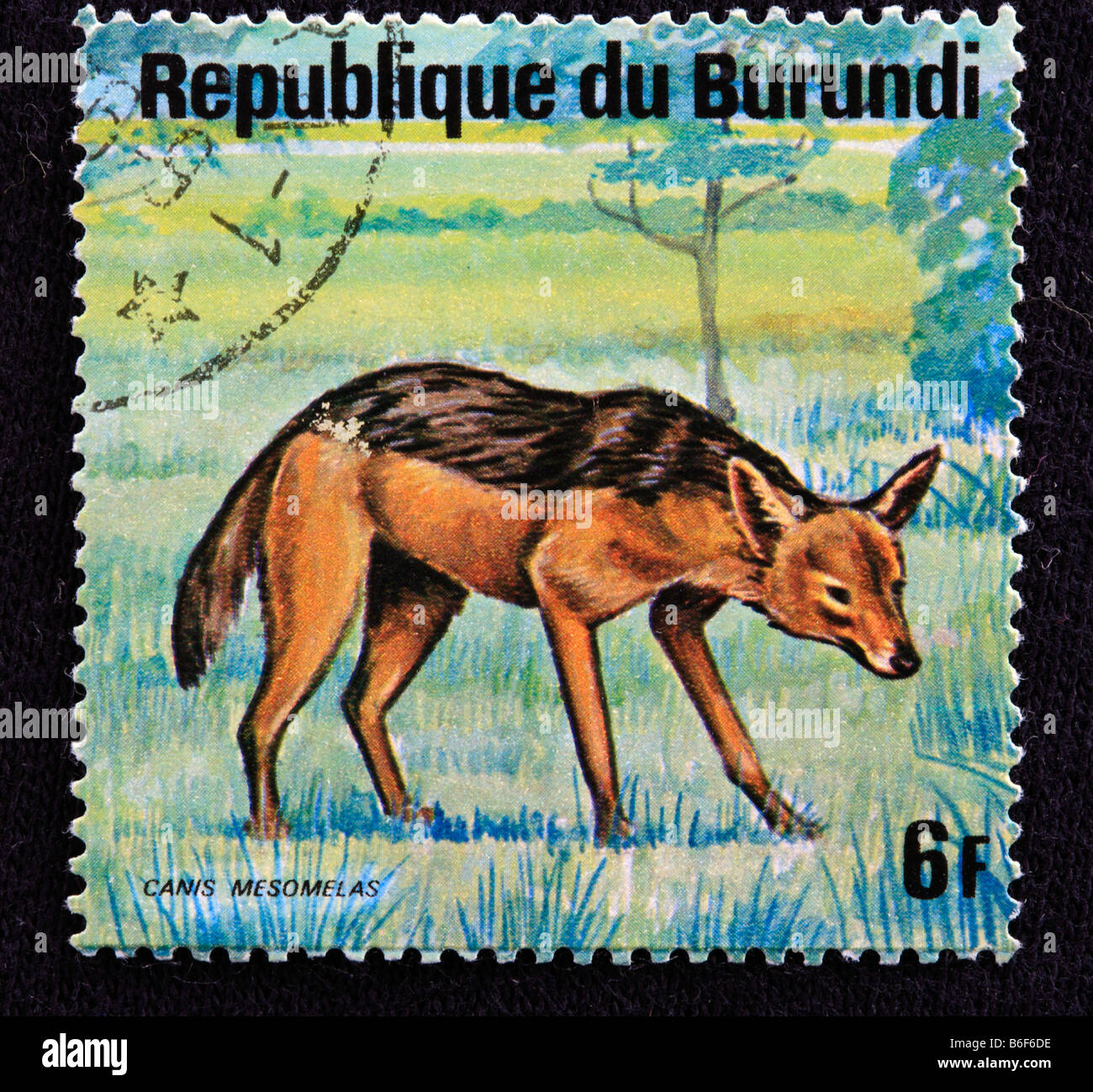 Chacal noir soutenu (Canis mesomelas), timbre-poste, République du Burundi Banque D'Images