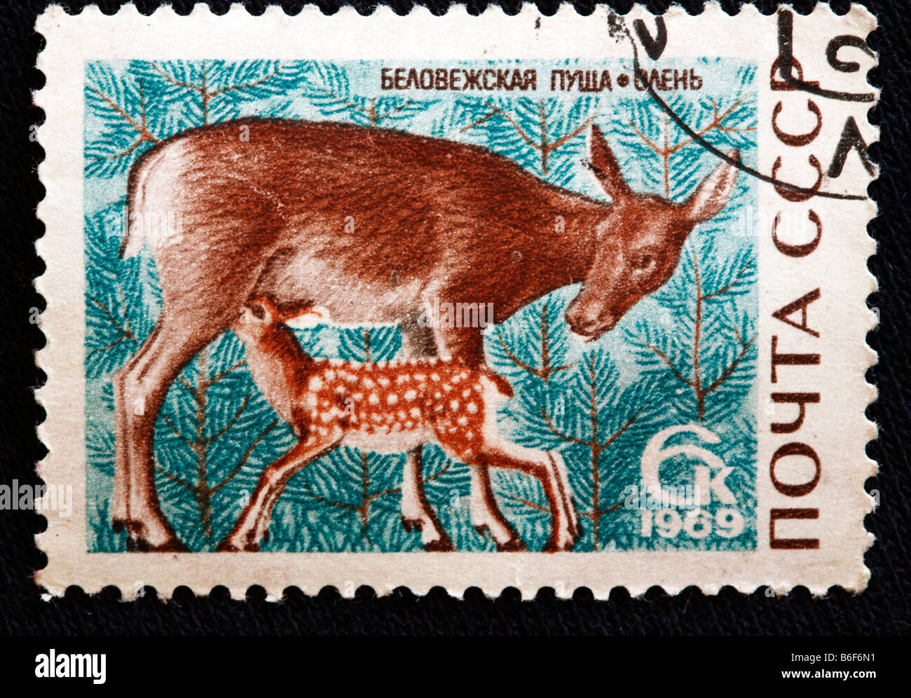 Red Deer (Cervus elaphus), timbre-poste, URSS, 1969 Banque D'Images