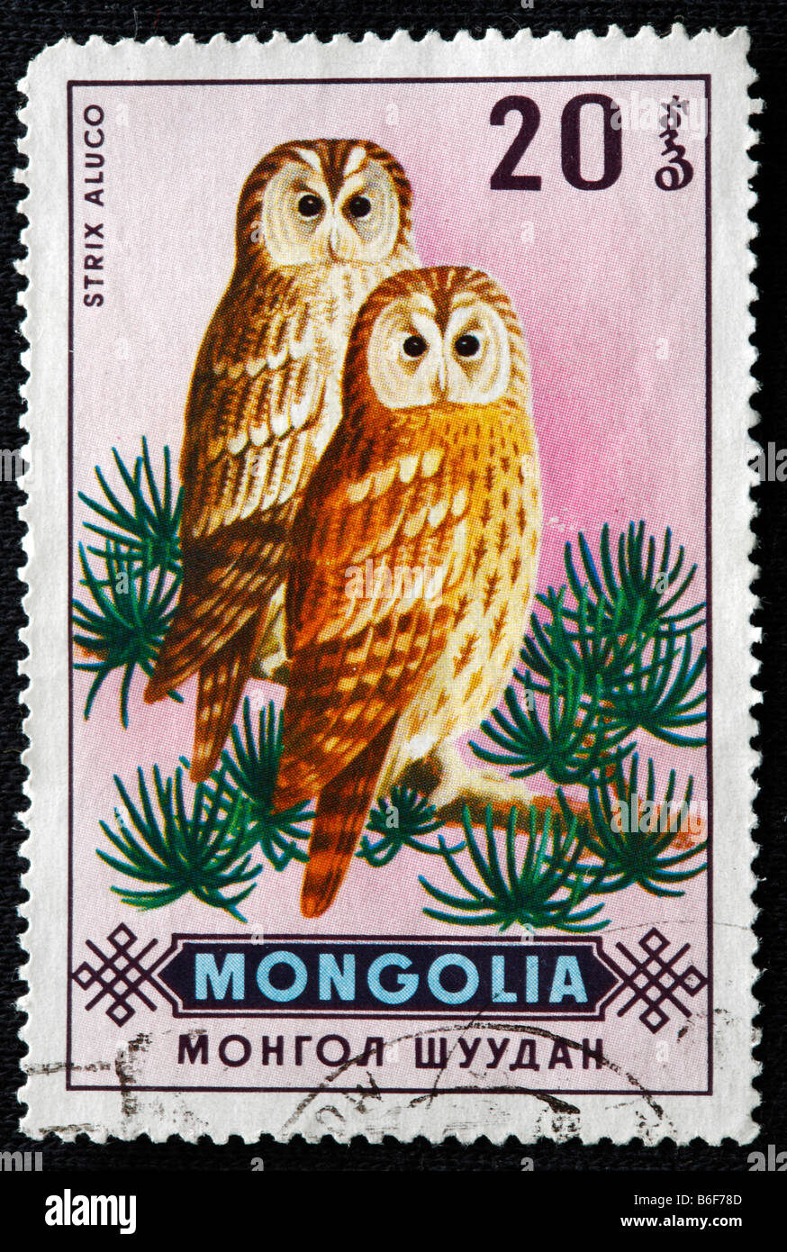 Tawny Owl (Strix Aluco enr), timbre-poste, la Mongolie Banque D'Images