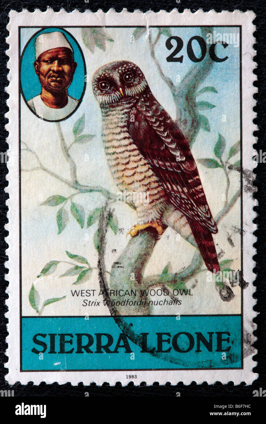 Bois d'Afrique (Owl Strix woodfordii), timbre-poste, la Sierra Leone, 1983 Banque D'Images